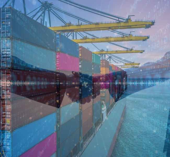 Export Import Course Meerut